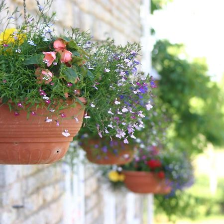 Hotel Crossways Wells Exterior foto Flower pots